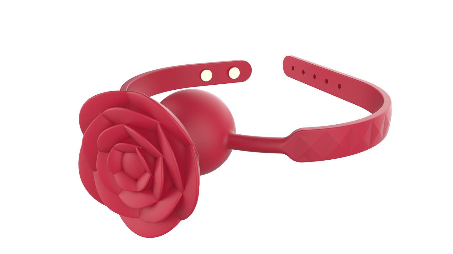 RO TEACH - Vibrating Mouth Gag