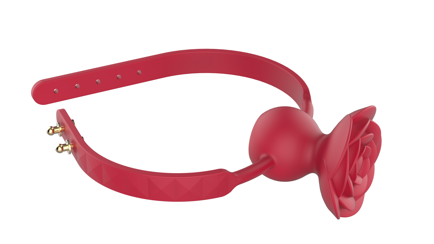 RO TEACH - Vibrating Mouth Gag